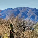Lodge Tiny House At Ariola