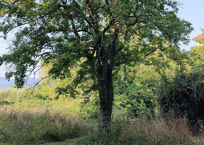 Tiny House At Ariola Lodge *